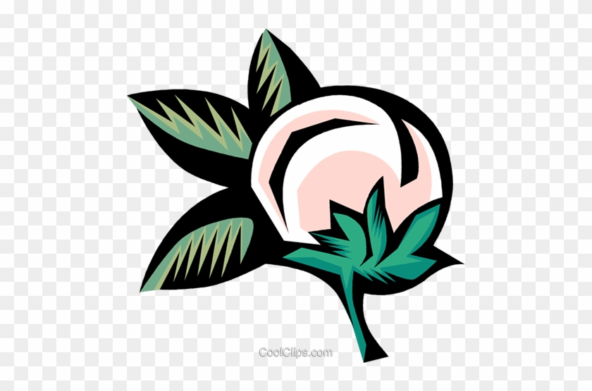 Happy Birthday Pumpkin Clipart 4274 - Happy Birthday Pumpkin Clipart 4274 #1554476