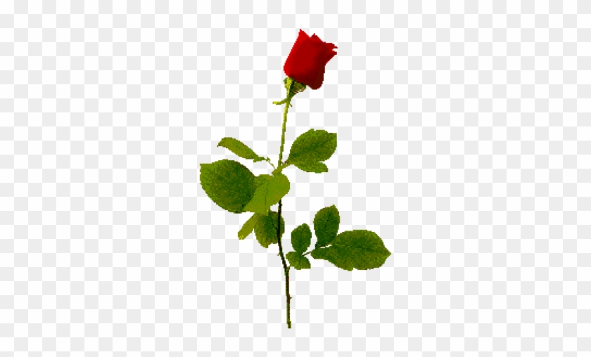 Our Guest Today Is Sa Garcia Amber Kell's Blog - Our Guest Today Is Sa Garcia Amber Kell's Blog #1554519