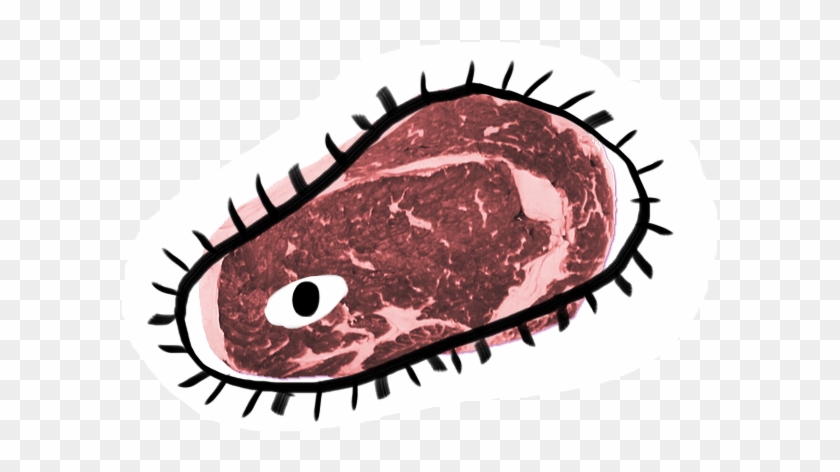 Cell Clipart Cell Culture - Cell Clipart Cell Culture #1555012