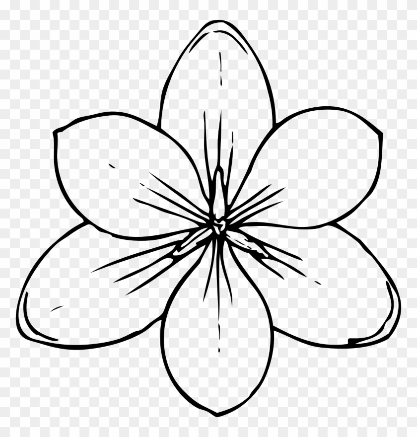 Free Printable Flower Stencil Templates - Coloring Pages Of Flowers #35911