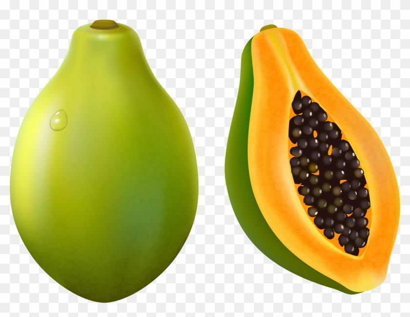 Vector Clipart, Clipart Images, Vectors, Clip Art, - Papaya Clipart Png #36059