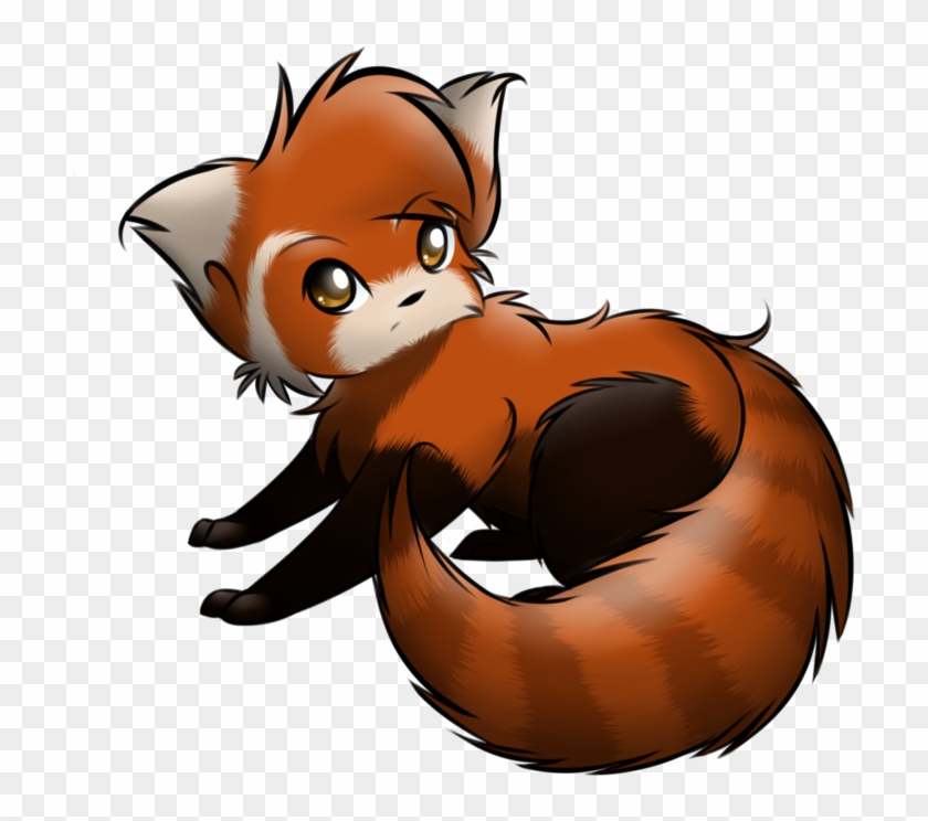 Cartoon Cute Red Panda Drawing Draw Shenanigan