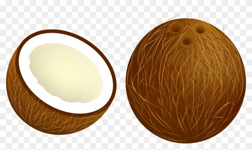 Coconut Png Vector Clipart Image - Coconut Clipart Png #36133