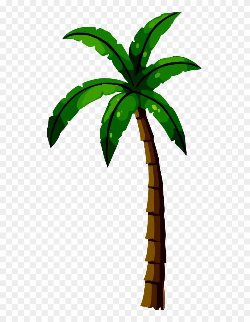 Plant - Palm Tree Clip Art #36135