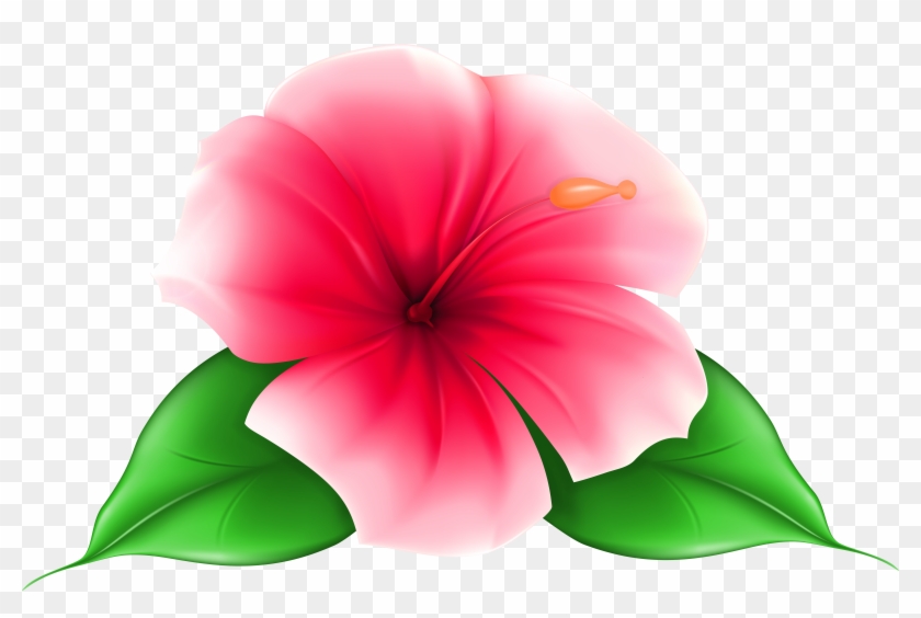 Exotic Flower Png Clip Art Image - Tropical Flowers With Transparent  Background - Free Transparent PNG Clipart Images Download