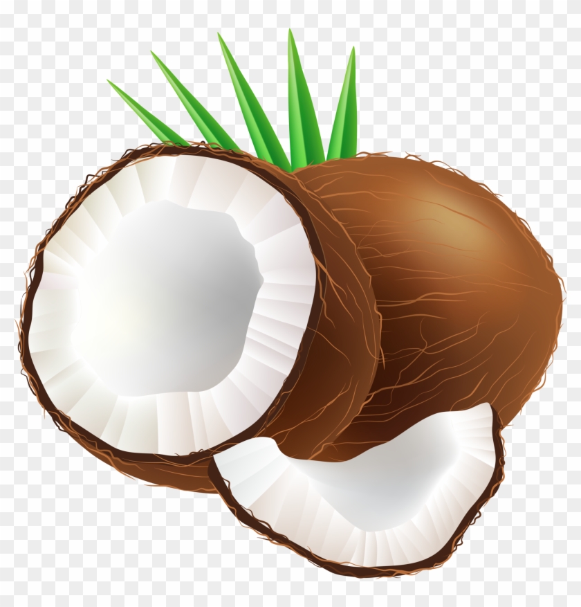 Coconut Png Clip Art - Clip Art Coconut Png #36178