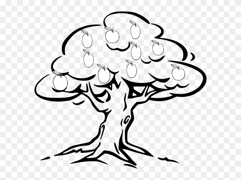 Mango Tree Clipart Black And White Outline Of A Tree Free