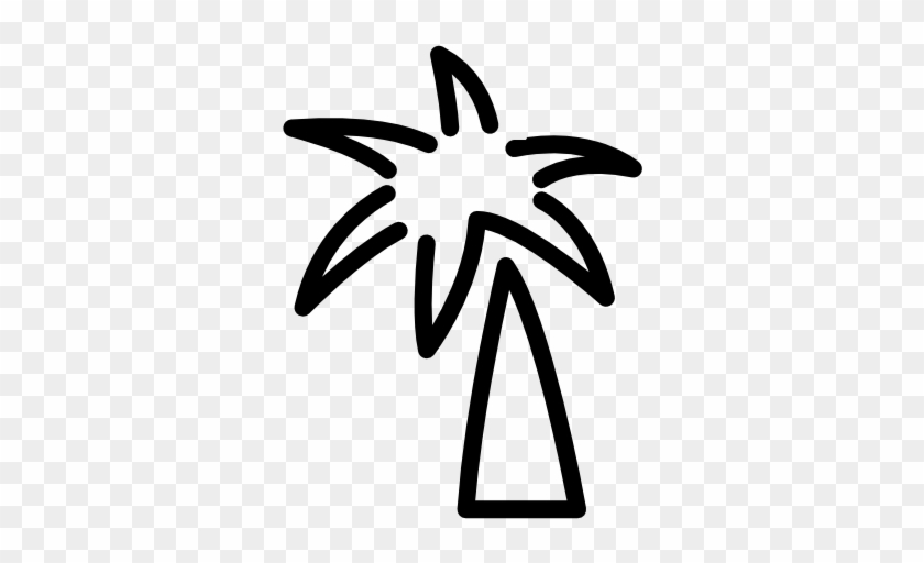 Tropical Coconut Tree Icons - Palm Tree Doodle Png #36336