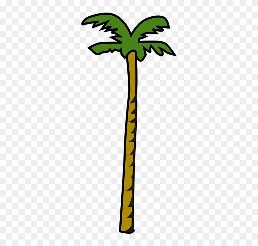 Coconut Palm Plant Tree - Coconut Clip Art #36382