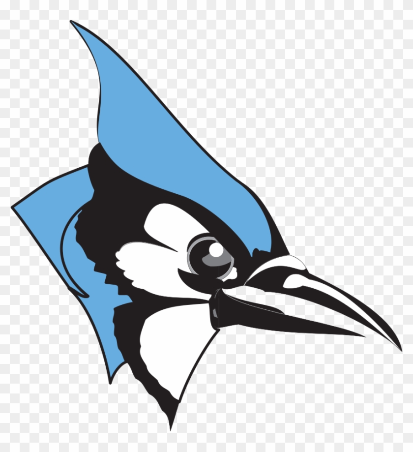 Johns Hopkins Blue Jay #36597