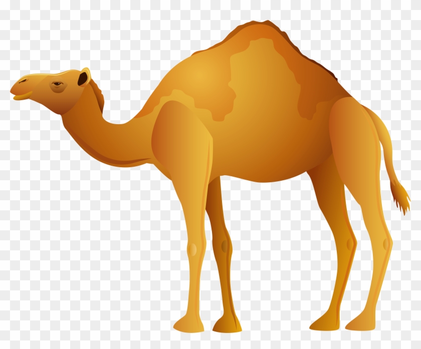 Camel Png Clip Art - Camel Png Clip Art #36678