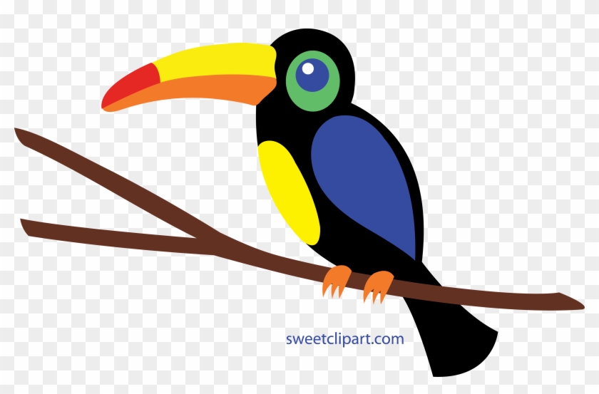 Toucan Clip Art Clipart - Hornbill Clipart #36868