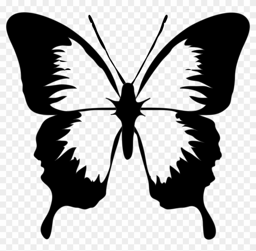 Butterfly Images Black And White Free Download Clip - Butterfly Images Black And White #37133