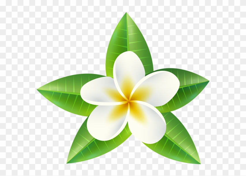 Tropical Flower Png Clip Art Image - Tropicalflowers Png #37216