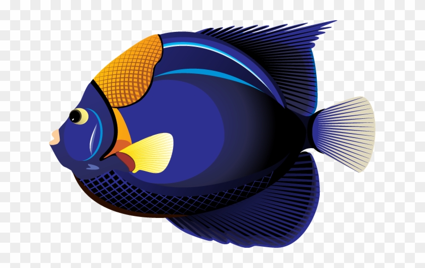 Clipart Fish - Tropical Fish Clip Art #37251