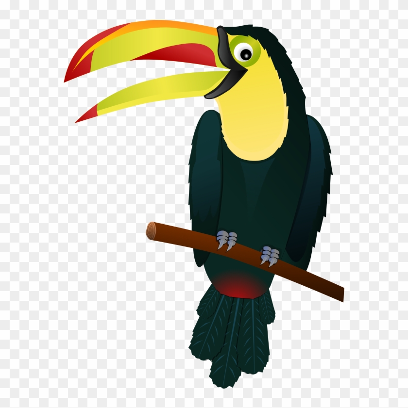 Clipart - Toucan - Tropical Bird Clip Art #37341