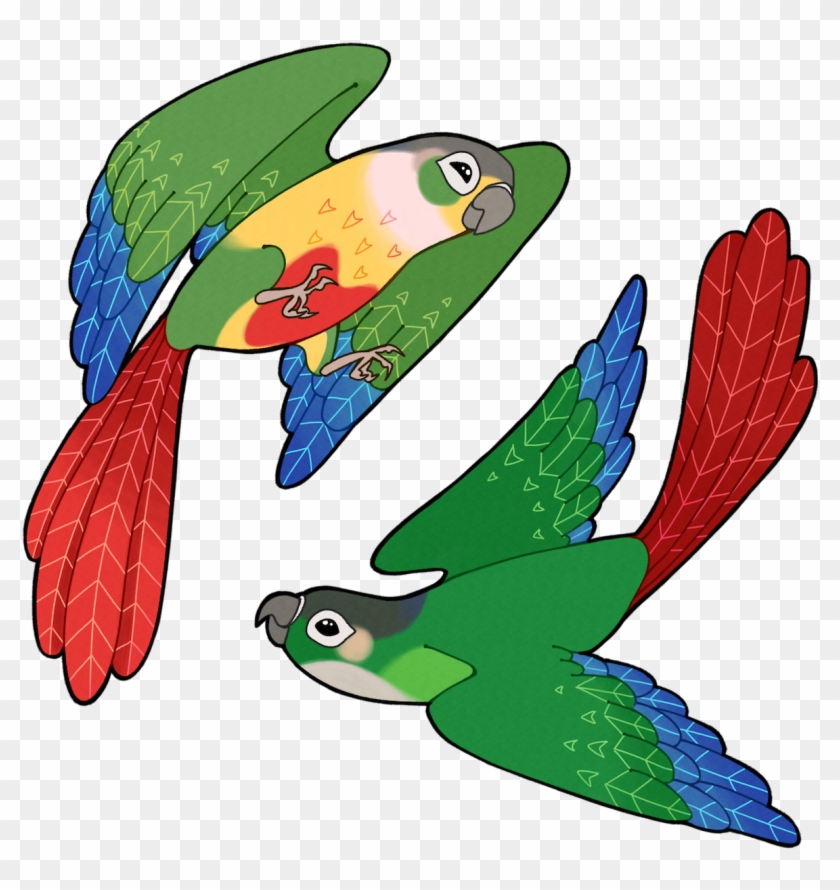 Tropical Fish Clip Art - Yellow Sided Conure Clipart #37385