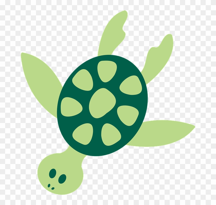 Tropical Clipart Turtle - Sea Animal Clip Art #37488