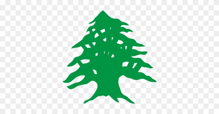Lebanese Flag Cedar Tree - Free Transparent PNG Clipart Images Download