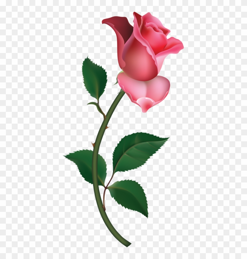 Free Pink Rose Clipart Image - Pink Rose Clip Art #38094