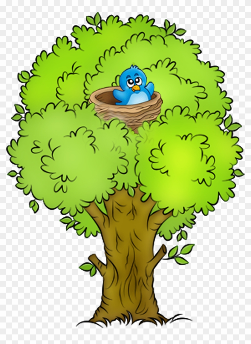 Tree Spring 125 - Tree Clipart #38135