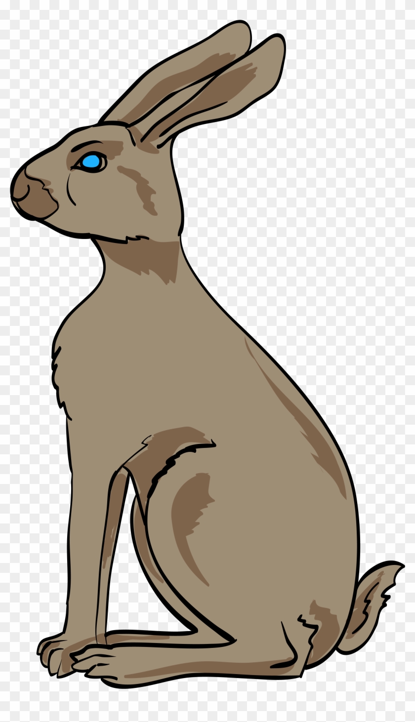 hare picture clipart