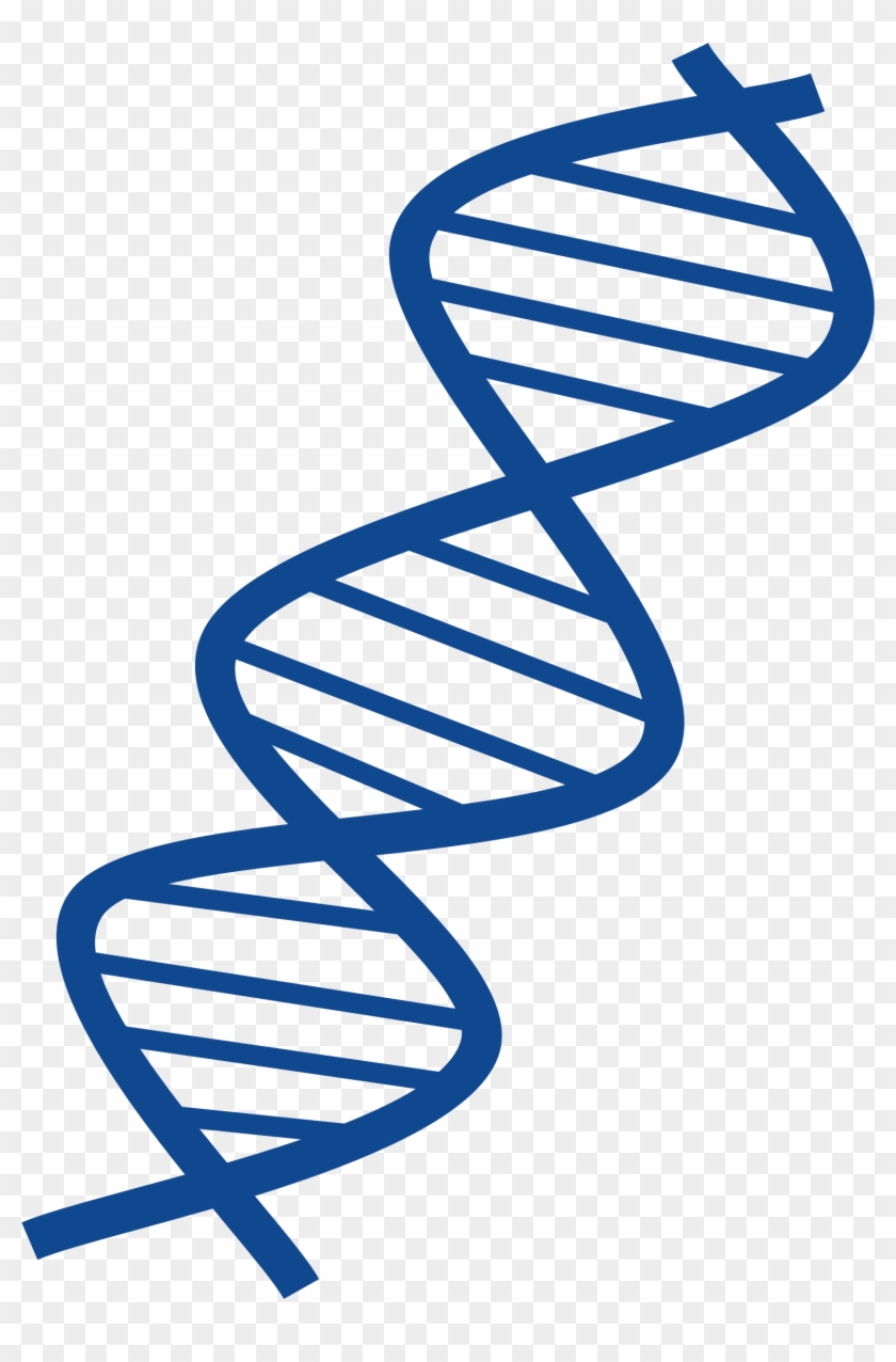 Dna - Dna Clipart #38788