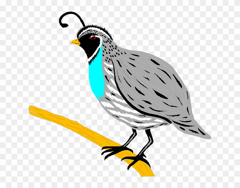 Free Cute Quail Clipart - Quail Clipart #38877