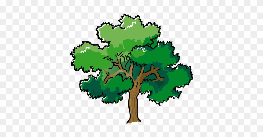 Low Cost Street And Yard Trees - Oak Tree Clipart #39013