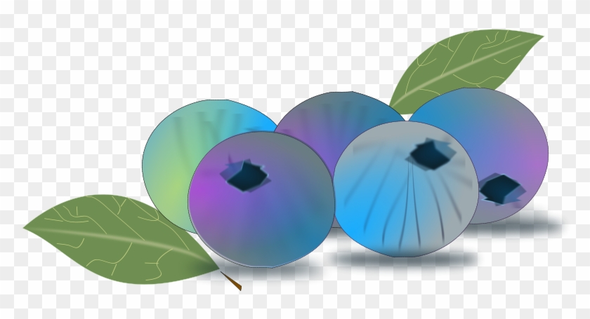 Blueberry - Blueberries Clipart Png #39166