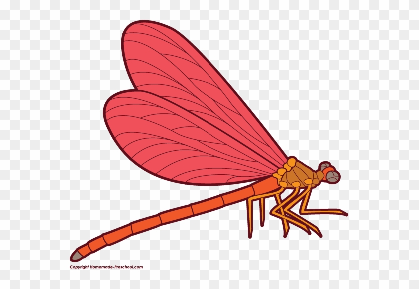 Click To Save Image - Dragonfly Clipart Png #39666