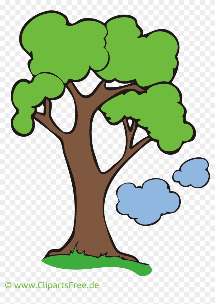 Baum Clipart - Baum Clipart #39723