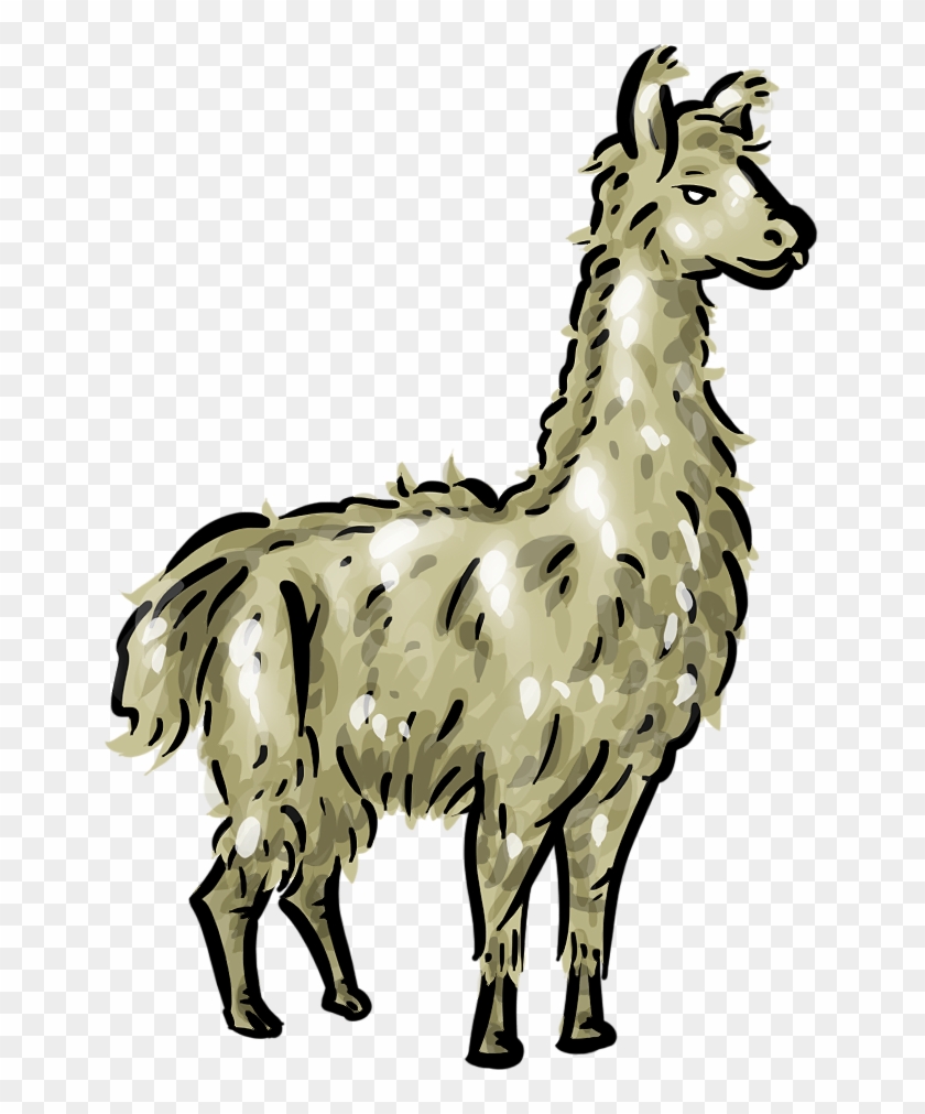Free Llama Clipart 1 Page Of Public Domain Clip Art - Clipart Of A Llama #39937