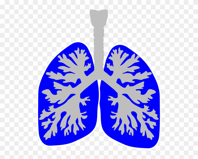 Lung Blue Clip Art At Clker Com Vector - Lungs Clipart Blue #40162