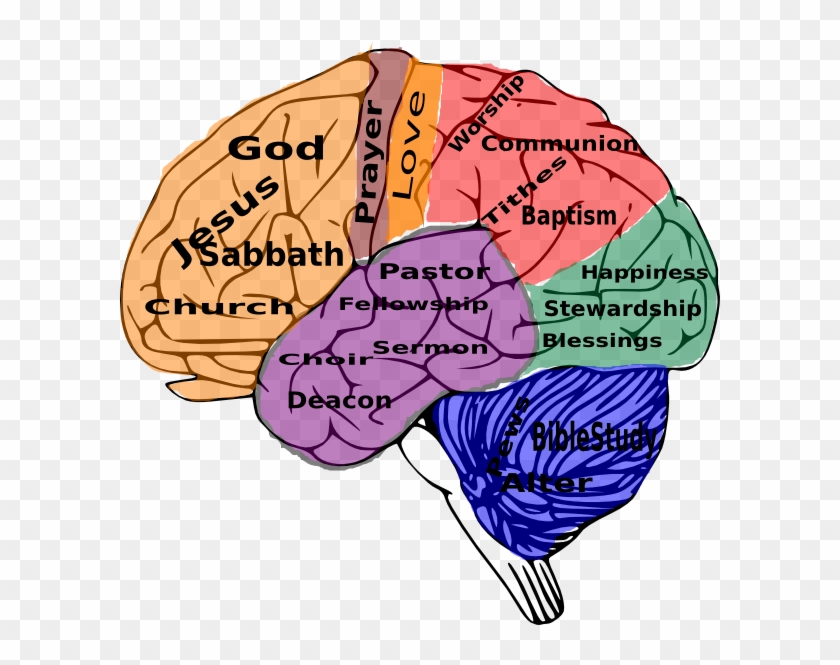 Religion On The Brain Clip Art At Clker - God In The Brain #40168
