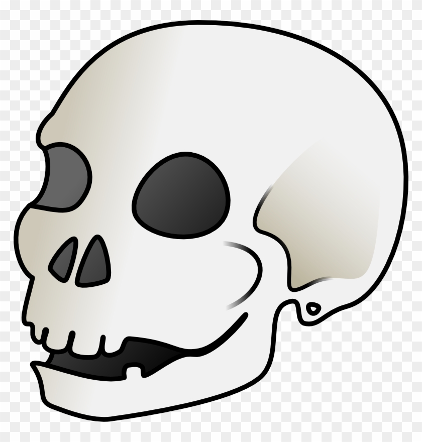Clipart - Skull - Skull Cartoon #40187
