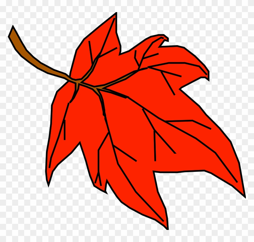 Red, Fall, Outline, Yellow, Leaf, Tree, Cartoon, Orange - Fall Leaves Clip Art #40410