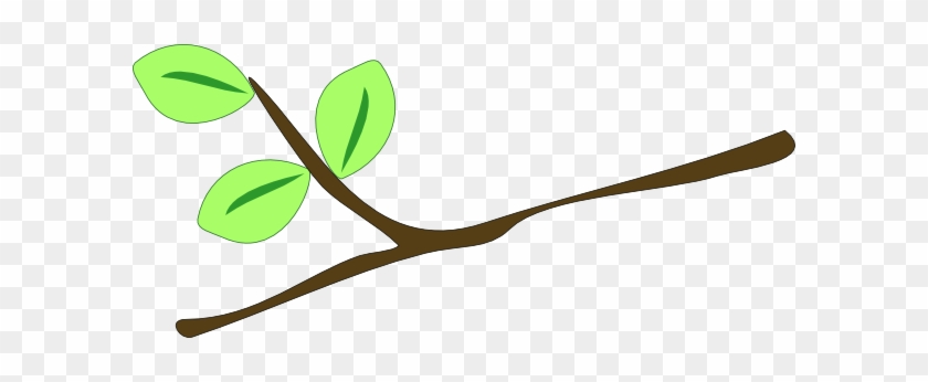 Oak Tree Limb Clipart - Tree Branch Clip Art #40441