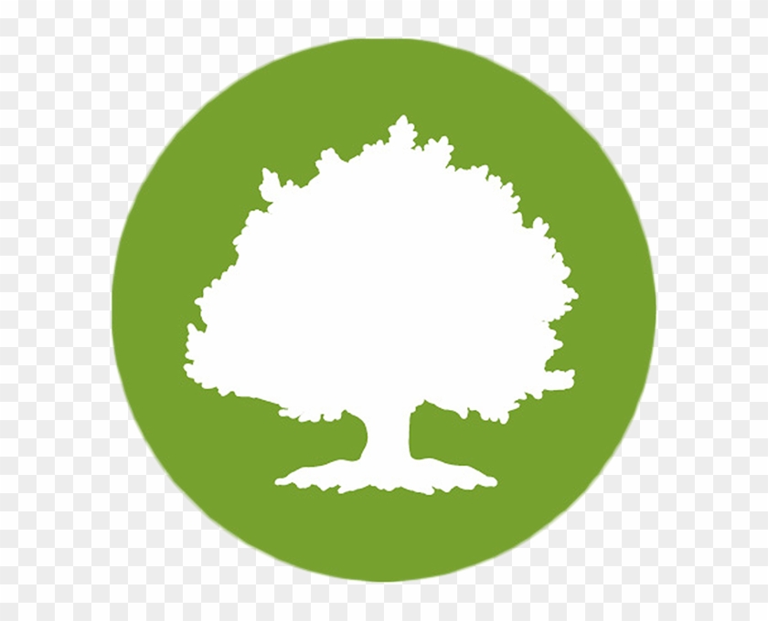 Large Tree - Oak Street Health Logo #40453