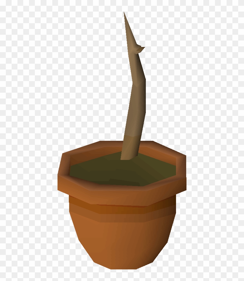 Oak Saplings Are Obtained By Planting An Acorn In A - Old School Runescape #40489