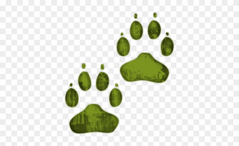 Paw Clipart Green - Red Panda Paw Print #40527