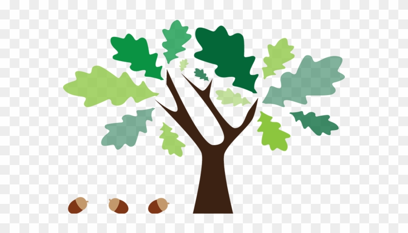 From Small Acorns Great Oak Trees Grow - Accountant #40533