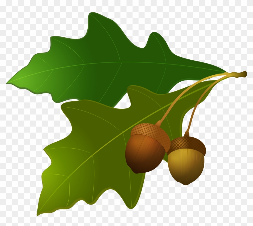 Acorn Clipart Transparent - Acornes And Oak Leaves Clip Art #40614