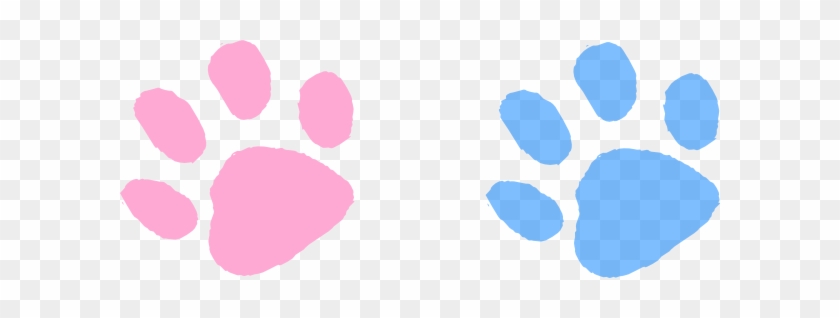 Paw Clipart Pink - Blue And Pink Paws #40654