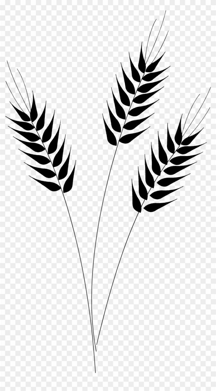 Wheat Clipart Transparent - Wheat Clipart Black And White #40682