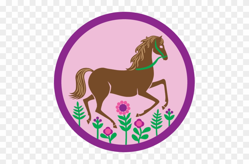 Junior Horseback Riding Badge Requirements - Junior Horseback Riding Badge #40687