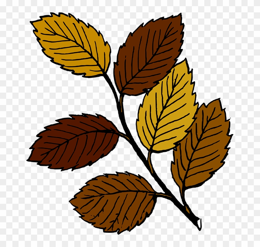 Branch, Leaf, Tree, Dead, Fall, Plant - Dead Leaves Clip Art #41145