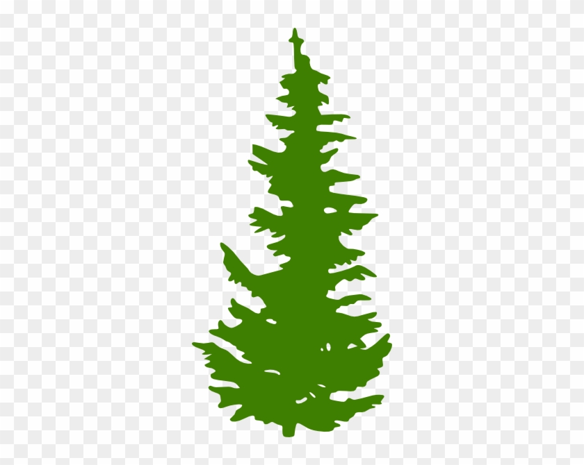 Evergreen Tree Silhouette #41159