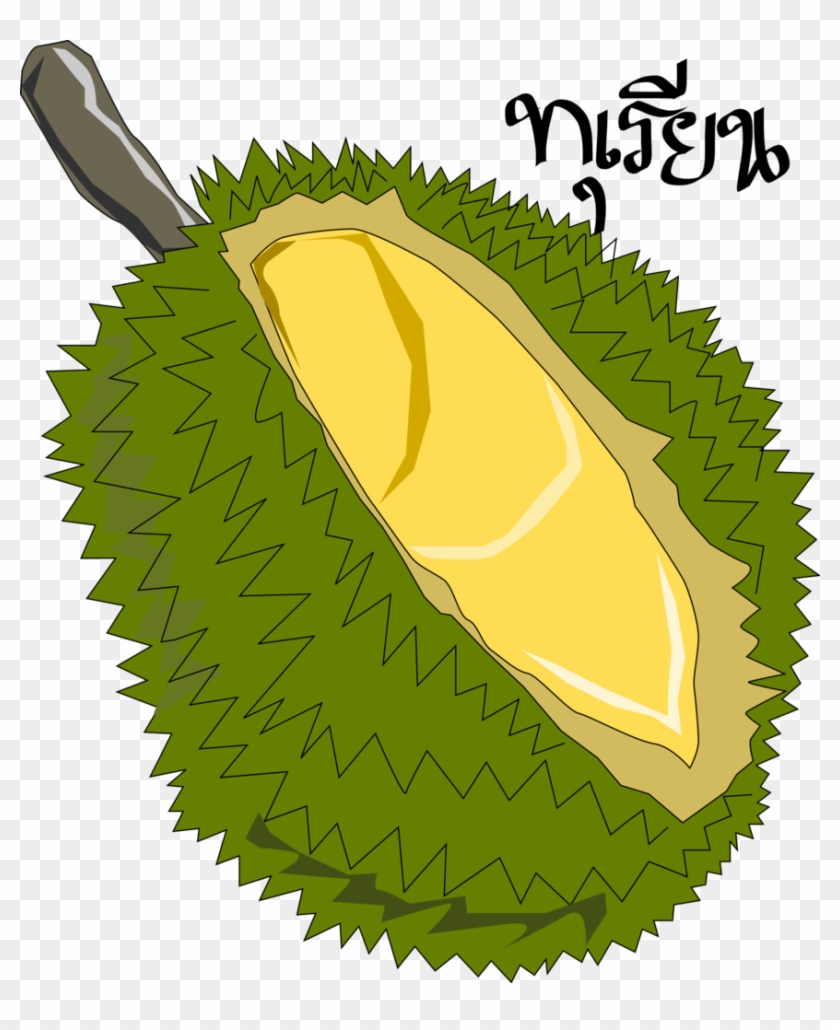Cartoon Fruit Clip Art - Durian Clip Art #41506