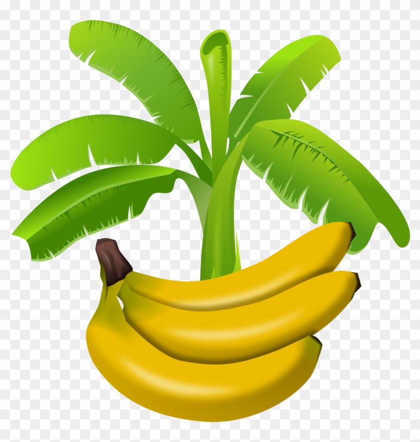 Banana - Banana Tree Clipart Png #41511